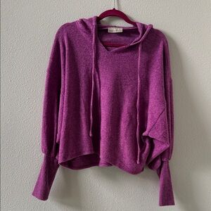 Zenana Outfitters V-Neck Purple hooded Sweater